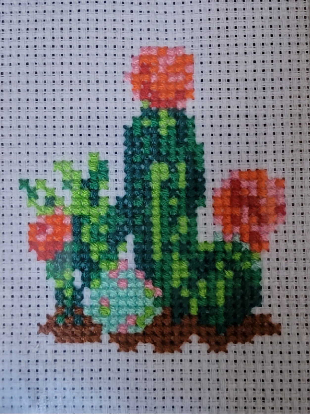 Cross stitching of a cactus